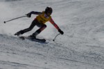 PEL_0239.JPG (46KB)