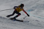 PEL_0240.JPG (47KB)