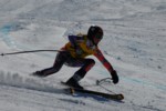 PEL_0241.JPG (46KB)