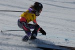 PEL_0244.JPG (39KB)