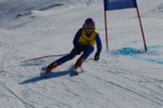 PEL_0249.JPG (43KB)