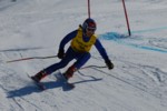 PEL_0250.JPG (44KB)