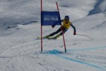 PEL_0283.JPG (41KB)
