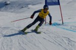 PEL_0287.JPG (43KB)