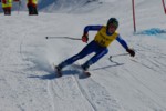 PEL_0294.JPG (44KB)
