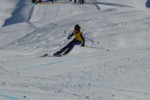 PEL_0388.JPG (39KB)