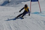 PEL_0393.JPG (43KB)