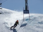 xDSCF0470.JPG (43KB)