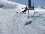 xDSCF0477.JPG (56KB)