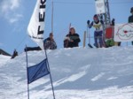 DSCF0633.JPG (48KB)