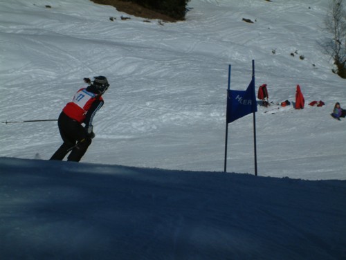 DSCF0023.JPG (36KB)