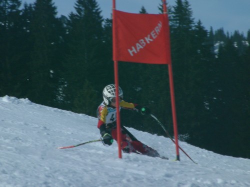 Dscf0052.jpg (34KB)
