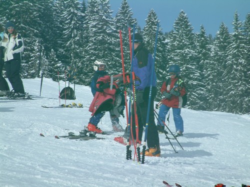 DSCF0026.JPG (68KB)