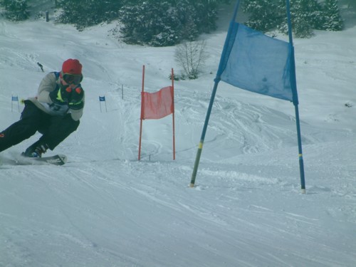 DSCF0167.JPG (40KB)
