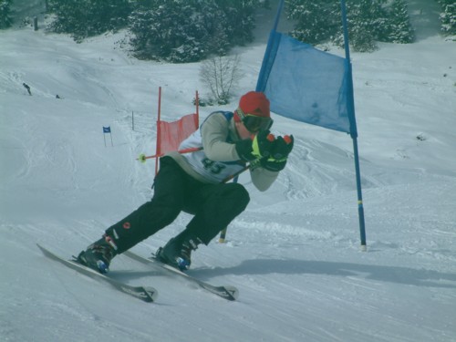 DSCF0168.JPG (41KB)