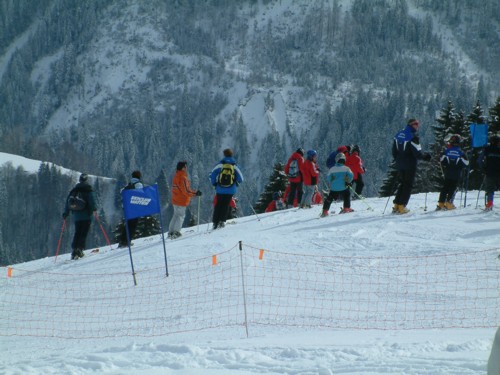 DSCF0176.JPG (57KB)
