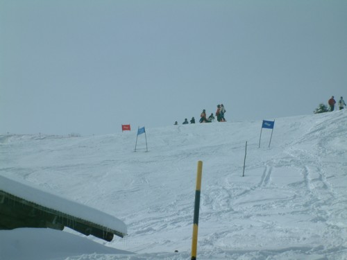 DSCF0182.JPG (26KB)