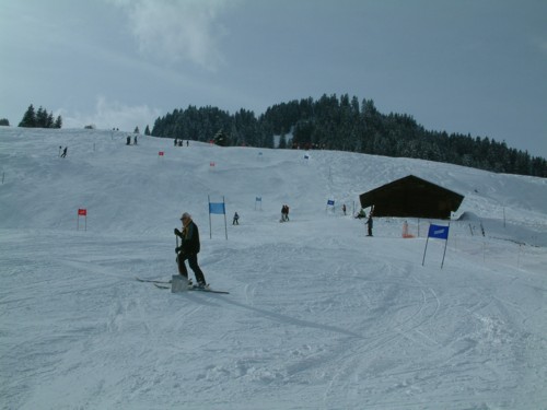 DSCF0193.JPG (35KB)