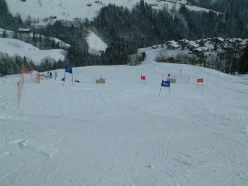 DSCF0194.JPG (43KB)