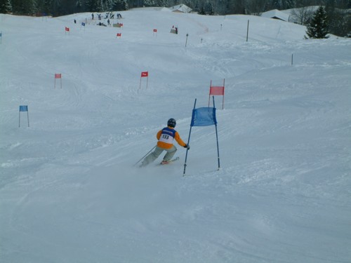 DSCF0216.JPG (31KB)