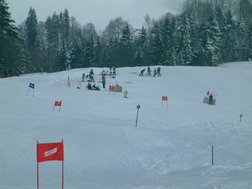 DSCF0227.JPG (40KB)