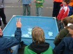 DSCF5049.JPG (52KB)