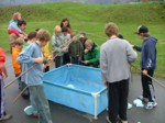 DSCF5053.JPG (63KB)